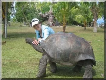 La plus vielle tortue a vcu jusqu' ....