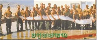 Le plus long poisson au monde est le Rgalec, il mesure ...