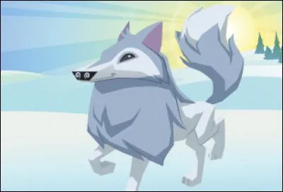 Quel est cet Animal ?