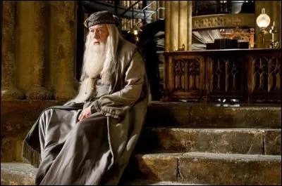 Albus possède sur le genoux une cicatrice qui est le plan exact du...