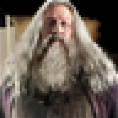 Abelfort le frère d'Albus n'a jamais fait ses études à Poudlard puisqu'il s'occupait de sa soeur Arianna.