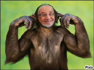 Quel animal est-il ?