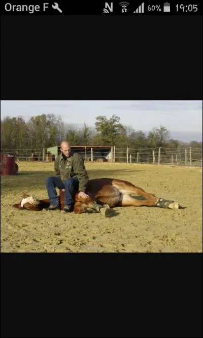 L'éthologie se pratique...