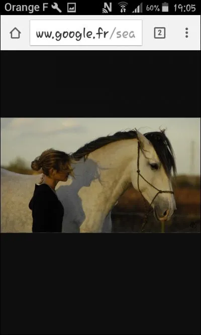 Qu'appelle-t-on le renforcement positif ?