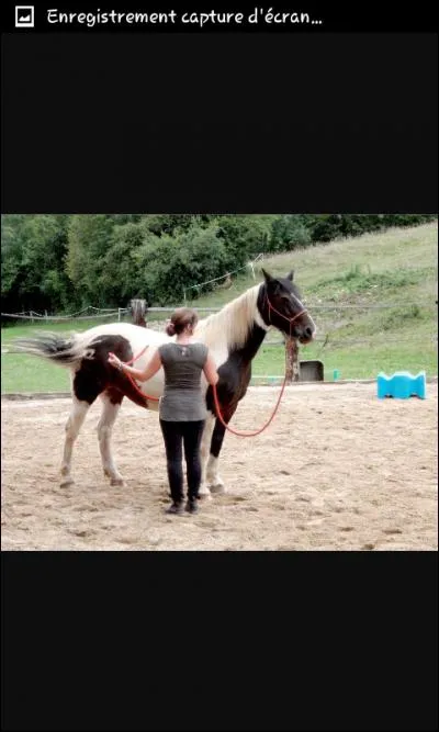 Peut-on en faire avec un poulain ?