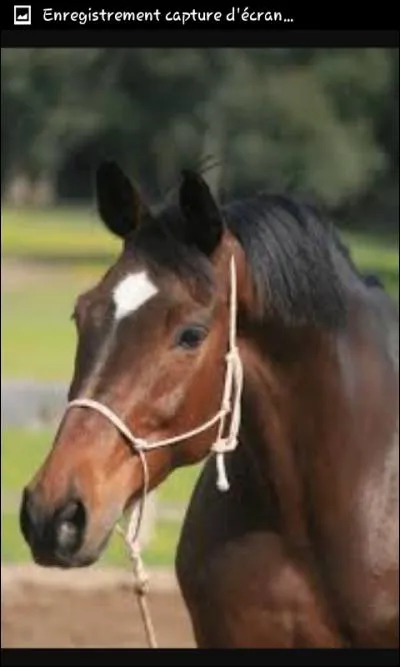 Quelle est l'aide naturelle ?
