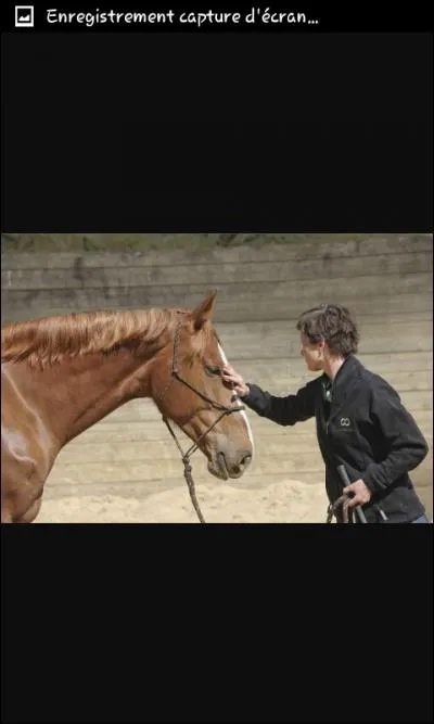 Comment appelle-t-on les niveaux d'éthologie ?