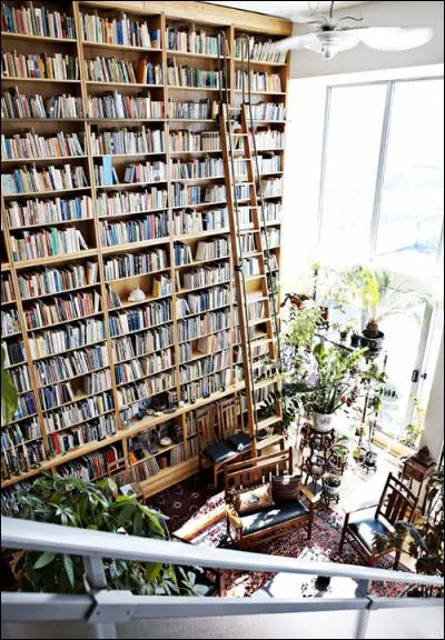 En vacances, vous avez le temps de lire. Vous choisissez plutôt ?