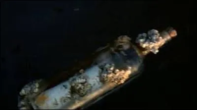 Qui retrouve la bouteille jetée à la mer par les parents d'Elsa et Anna ?