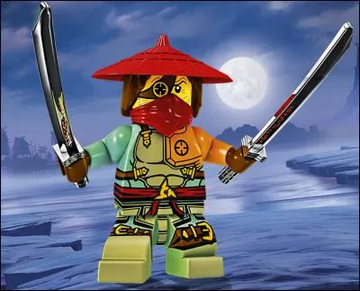 Que fait Ronin dans la vie ?