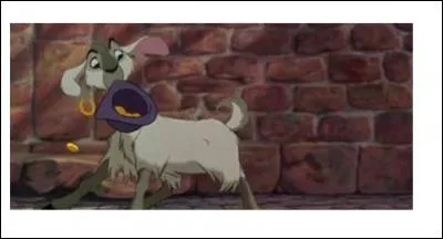 Qui est cette chèvre ?