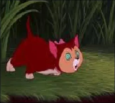 Qui est cette chatte appartenant à une fille victorienne qui n'aime pas les cours d'histoire et les livres sans images ?