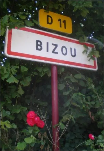 Dans quelle région se trouve la commune de Bizou ?