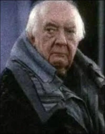 Qui est ce vieil homme, présent au mariage de Bill et Fleur ?