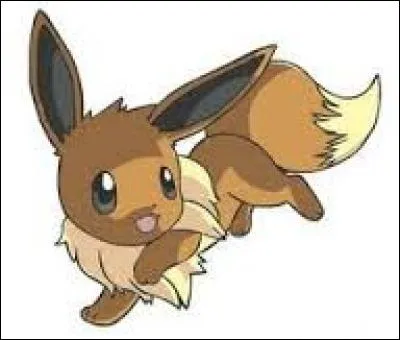 Comment évolue Évoli ?