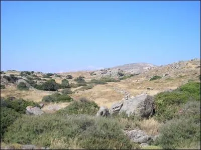 Quelle est la zone climatique de cette image ?