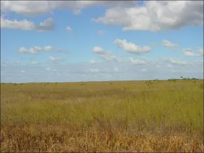Quelle est la zone climatique de cette image ?