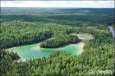 Quelle est la zone climatique de cette image ?