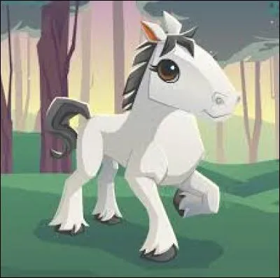 Le cheval est pour...