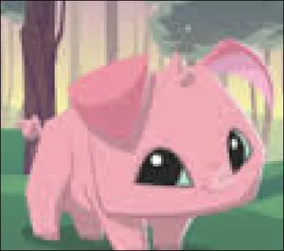 Nous devons acheter le cochon avec...