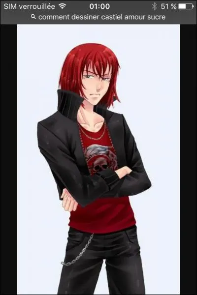 Quelle est la race de Démon, le chien de Castiel ?