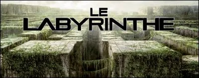 Quel est le don de Teresa & Thomas ?