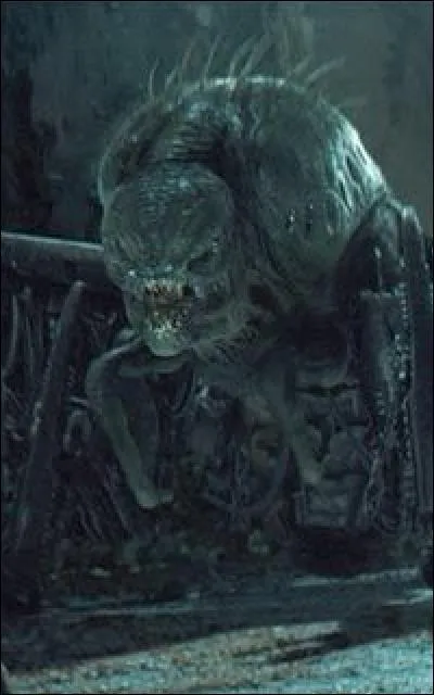 Comment s'appelle les bêtes terrifiantes qui sortent dans le labyrinthe la nuit ?