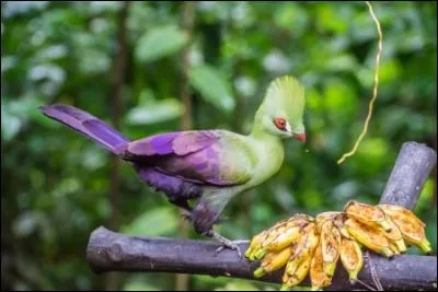Proverbe : Dans les mariages de mai, ...