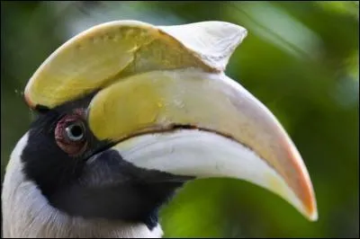 En 1979, julien Clerc chante avec une petite fille, dans le conte musical de Philippe Chatel !