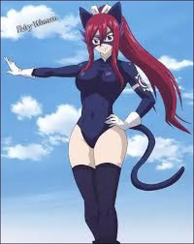 Quel nom Erza se donne après avoir enfilé la tenue de super héroïne ?