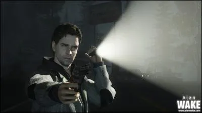 Quelle est la profession d'Alan Wake?
