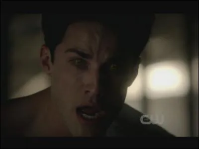 Est-ce un des personnages de "Wolfblood" ?