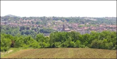 Carmaux, dans le Tarn, abrite le très beau domaine de la Verrerie. Tous les ans, le festival "A fleur de peau" rassemble les habitants...