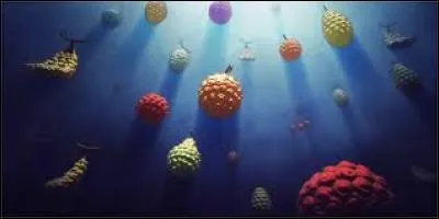 Quel Grand Corsaire a mangé le fruit du Nikuy Nikuy no Mi ?