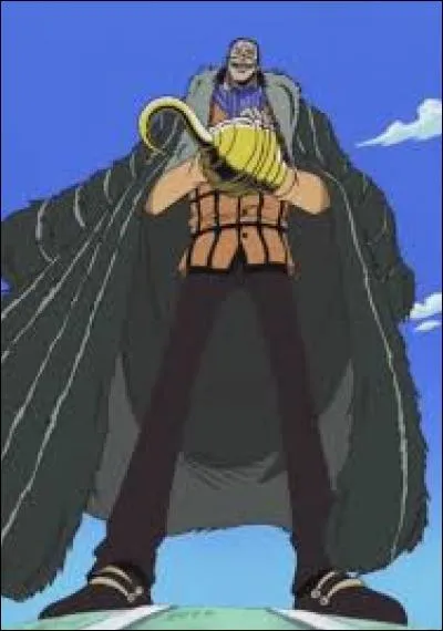 Quel est le nom de l'opération élaborée par Crocodile dans le but de prendre le contrôle d'Alabasta ?