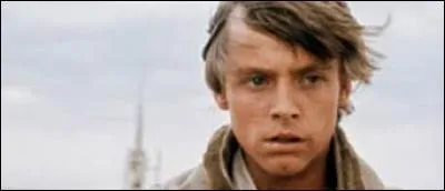 Qui a tué Luke Skywalker ?