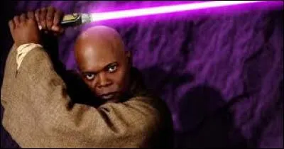 Qui a tué Mace Windu ?