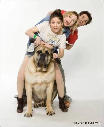 Comment s'appelle-t-il ?