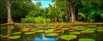 Dans quel jardin peut-on se promener ?