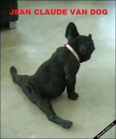 Dur de faire confiance à l'être humain, même les aveugles ...