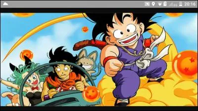 Dans le premier épisode de Dragon Ball qui est dans la voiture que Son Goku détruit ?
