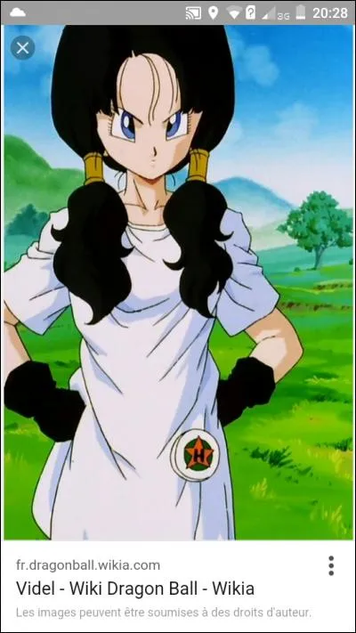 Qui est la copine de Gohan ?