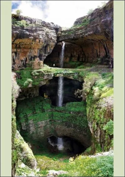 Vite, après le café, bien éveillés, passons sous la douche, mot qui vient de... ?