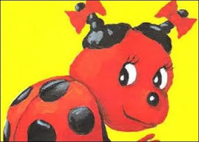 Comment repère-t-on les coccinelles femelles ?