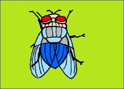 Quelle mouche boit le sang des humains ?