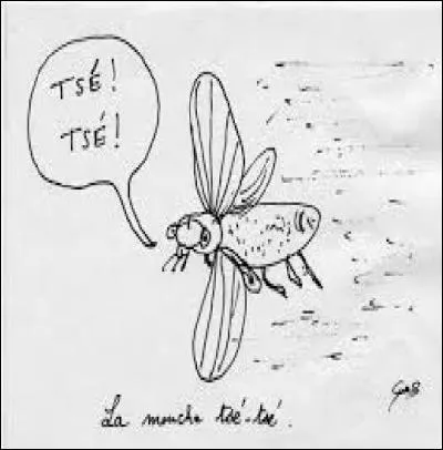 Quelle est la maladie qu'apporte la mouche tsé-tsé ?