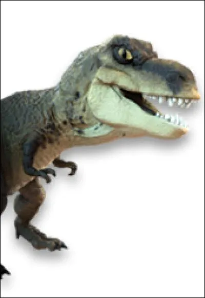 Tina aime racketter les personnes.