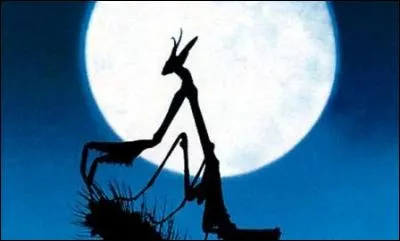 Un film documentaire qui nous offre un voyage dans le monde des insectes, sorti en 1996 et présenté à Cannes.