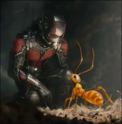 C'est un super héros qui peut communiquer avec les insectes et surtout peut faire partie de leur monde.