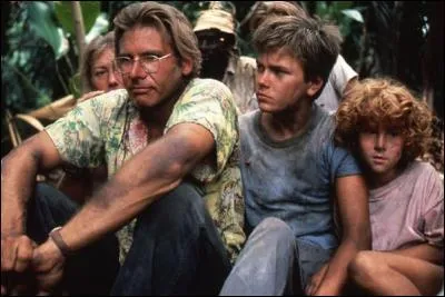 Film de Peter Weir, avec Harrison Ford, Helen Mirren et River Phoenix.